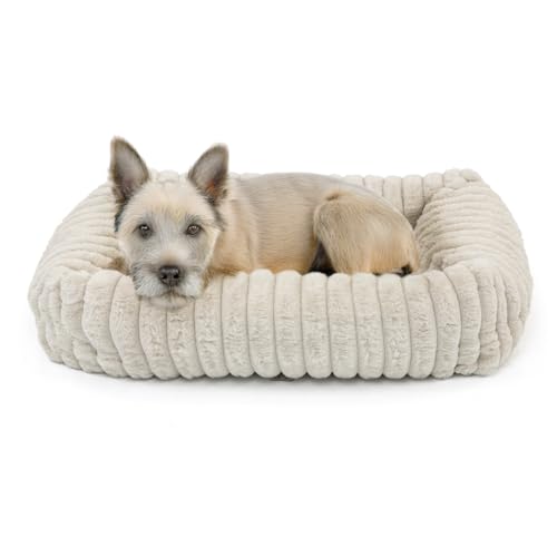 Wallace & Jones | Hundebett Mary - Sand | M | ca. 71 x 58 x 18 cm | weicher Schlafplatz, Breitcord Optik, Hundekörbchen Wallace & Jones | Hundebett Mary - Sand | M | ca. 71 x 58 x 18 cm | weicher Schlafplatz, Breitcord Optik, Hundekörbchen von Wallace & Jones