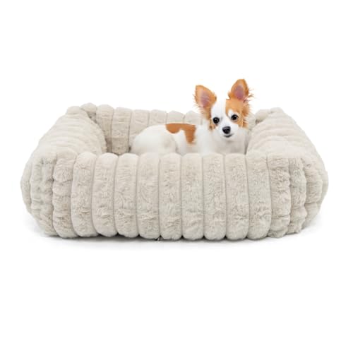 Wallace & Jones | Hundebett Mary - Sand | S | ca. 51 x 46 x 15 cm | weicher Schlafplatz, Breitcord Optik, Hundekörbchen von Wallace & Jones