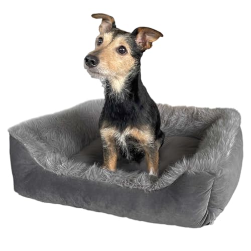Wallace & Jones | Hundebett Mayfair - Onyx-Quarz, Kuschelbett für kleine Hunde | S | 51 x 46 x 15 cm Wallace & Jones | Hundebett Mayfair - Onyx-Quarz, Kuschelbett für kleine Hunde | S | 51 x 46 x 15 cm von Wallace & Jones