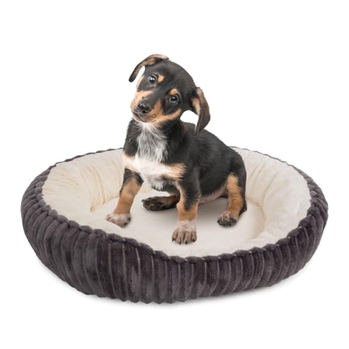 Wallace & Jones | Hundebett kleine Hunde | Cameron - Hundekörbchen oval flauschig | Hundekorb rutschfest | anthrazit-beige | Größe S | ca. 55 x 45 x 17 cm von Wallace & Jones