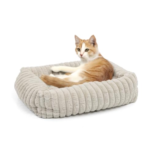 Wallace & Jones | Katzenbett Mary - Breitcord Optik - Sand | M | ca. 71 x 58 x 18 cm Wallace & Jones | Katzenbett Mary - Breitcord Optik - Sand | M | ca. 71 x 58 x 18 cm von Wallace & Jones