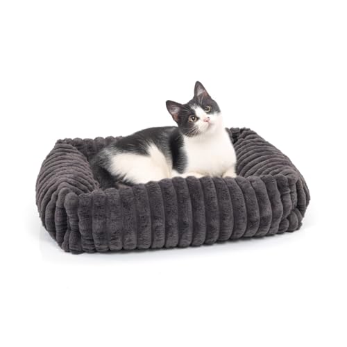 Wallace & Jones | Katzenbett Mary - Breitcord Optik - anthrazit | M | ca. 71 x 58 x 18 cm Wallace & Jones | Katzenbett Mary - Breitcord Optik - anthrazit | M | ca. 71 x 58 x 18 cm von Wallace & Jones
