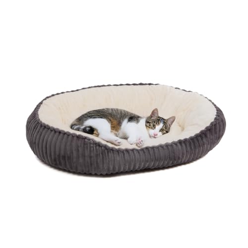 Wallace & Jones | Katzenbett große Katzen | Cameron - Katzenkorb oval flauschig | Katzennest rutschfest | anthrazit-beige | Größe M | ca. 75 x 55 x 20 cm Wallace & Jones | Katzenbett große Katzen | Cameron - Katzenkorb oval flauschig | Katzennest rutschfest | anthrazit-beige | Größe M | ca. 75 x 55 x 20 cm von Wallace & Jones