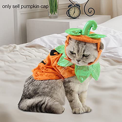 Katzen-Kappe, Halloween-Cosplay-Hut für Haustier, Kleiner Hund, Party-Kopfbedeckung von Walmeck