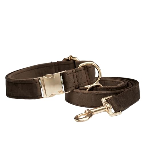Hundehalsband Farbenprächtigen,Verstellbare Metall Schnalle Haustier Halsband Halsung aus Samt Verschiedene Größen Haustierhalsband für Kleine Mittlere Große Hunde,Mit Kordel,Dunkelbraun A,XS Hundehalsband Farbenprächtigen,Verstellbare Metall Schnalle Haustier Halsband Halsung aus Samt Verschiedene Größen Haustierhalsband für Kleine Mittlere Große Hunde,Mit Kordel,Dunkelbraun A,XS von Wambere