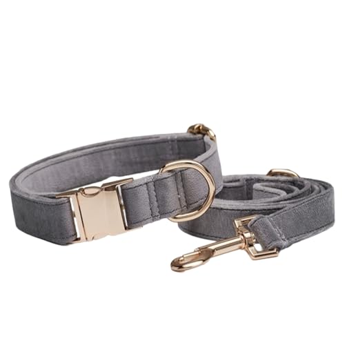 Hundehalsband Farbenprächtigen,Verstellbare Metall Schnalle Haustier Halsband Halsung aus Samt Verschiedene Größen Haustierhalsband für Kleine Mittlere Große Hunde,Mit Kordel,Hellgrau A,L Hundehalsband Farbenprächtigen,Verstellbare Metall Schnalle Haustier Halsband Halsung aus Samt Verschiedene Größen Haustierhalsband für Kleine Mittlere Große Hunde,Mit Kordel,Hellgrau A,L von Wambere