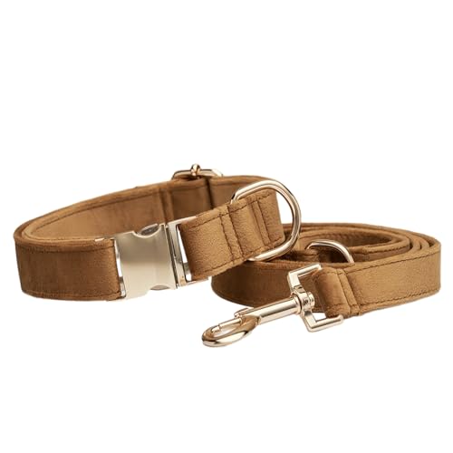 Hundehalsband Farbenprächtigen,Verstellbare Metall Schnalle Haustier Halsband Halsung aus Samt Verschiedene Größen Haustierhalsband für Kleine Mittlere Große Hunde,Mit Kordel,Kaffee A,M Hundehalsband Farbenprächtigen,Verstellbare Metall Schnalle Haustier Halsband Halsung aus Samt Verschiedene Größen Haustierhalsband für Kleine Mittlere Große Hunde,Mit Kordel,Kaffee A,M von Wambere