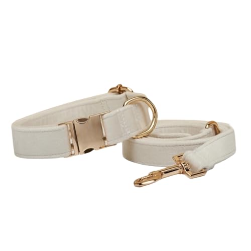 Hundehalsband Farbenprächtigen,Verstellbare Metall Schnalle Haustier Halsband Halsung aus Samt Verschiedene Größen Haustierhalsband für Kleine Mittlere Große Hunde,Mit Kordel,Off-White A,M Hundehalsband Farbenprächtigen,Verstellbare Metall Schnalle Haustier Halsband Halsung aus Samt Verschiedene Größen Haustierhalsband für Kleine Mittlere Große Hunde,Mit Kordel,Off-White A,M von Wambere