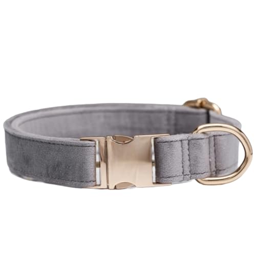 Hundehalsband Farbenprächtigen,Verstellbare Metall Schnalle Haustier Halsband Halsung aus Samt Verschiedene Größen Haustierhalsband für Kleine Mittlere Große Hunde,Ohne Kordel,Hellgrau,S Hundehalsband Farbenprächtigen,Verstellbare Metall Schnalle Haustier Halsband Halsung aus Samt Verschiedene Größen Haustierhalsband für Kleine Mittlere Große Hunde,Ohne Kordel,Hellgrau,S von Wambere