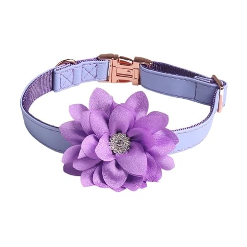 Hundehalsband Verstellbare, für Welpen und Katze,Hals ca.35cm,45cm,55cm.Atmungsaktives, strapazierfähiges Hundehalsband aus PU Leder.Sommerblume Hunde Halsband mit Strasssteinen,Lila 2x45cm Hundehalsband Verstellbare, für Welpen und Katze,Hals ca.35cm,45cm,55cm.Atmungsaktives, strapazierfähiges Hundehalsband aus PU Leder.Sommerblume Hunde Halsband mit Strasssteinen,Lila 2x45cm von Wambere