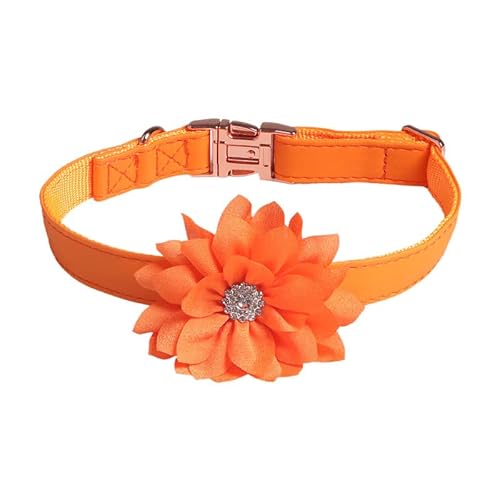 Hundehalsband Verstellbare, für Welpen und Katze,Hals ca.35cm,45cm,55cm.Atmungsaktives, strapazierfähiges Hundehalsband aus PU Leder.Sommerblume Hunde Halsband mit Strasssteinen,Orange 2.5x55cm von Wambere