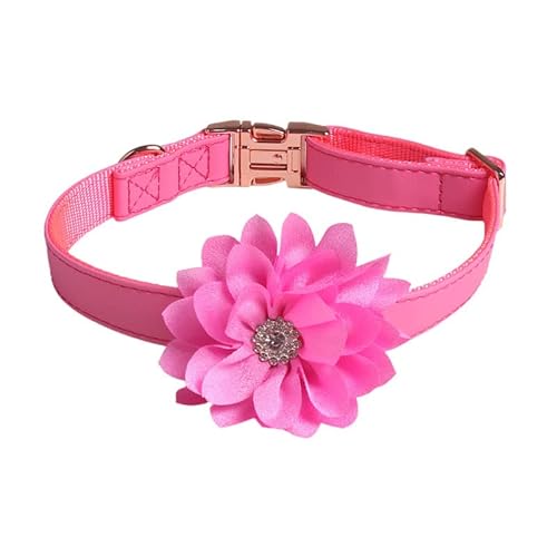 Hundehalsband Verstellbare, für Welpen und Katze,Hals ca.35cm,45cm,55cm.Atmungsaktives, strapazierfähiges Hundehalsband aus PU Leder.Sommerblume Hunde Halsband mit Strasssteinen,Rosenrot 1.5x35cm Hundehalsband Verstellbare, für Welpen und Katze,Hals ca.35cm,45cm,55cm.Atmungsaktives, strapazierfähiges Hundehalsband aus PU Leder.Sommerblume Hunde Halsband mit Strasssteinen,Rosenrot 1.5x35cm von Wambere