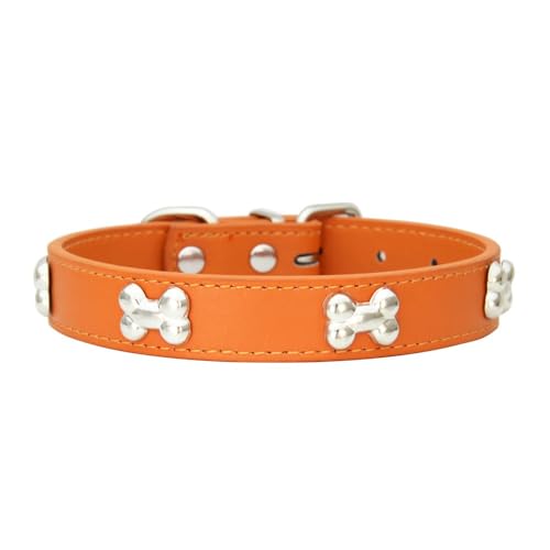 Katzenhalsband mit Metallschnalle PU Leder Haustierhalsband Verstellbares Hundehalsband Haustierzubehör Haustierhalsbänder für Haustiere Katzen Kitten Kleine Mittelgroße Hunde,Orange,XL Katzenhalsband mit Metallschnalle PU Leder Haustierhalsband Verstellbares Hundehalsband Haustierzubehör Haustierhalsbänder für Haustiere Katzen Kitten Kleine Mittelgroße Hunde,Orange,XL von Wambere
