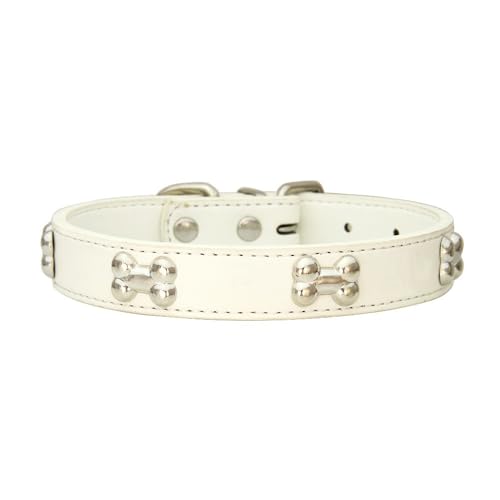 Katzenhalsband mit Metallschnalle PU Leder Haustierhalsband Verstellbares Hundehalsband Haustierzubehör Haustierhalsbänder für Haustiere Katzen Kitten Kleine Mittelgroße Hunde,Weiß,M Katzenhalsband mit Metallschnalle PU Leder Haustierhalsband Verstellbares Hundehalsband Haustierzubehör Haustierhalsbänder für Haustiere Katzen Kitten Kleine Mittelgroße Hunde,Weiß,M von Wambere