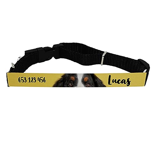 Wanapix | Hundehalsband mit Namen und Foto | Halsband Hund | Dog Collar | Halsband Hund Breit - 61,5 x 2,5 cm | 100% Personalisierten von Wanapix