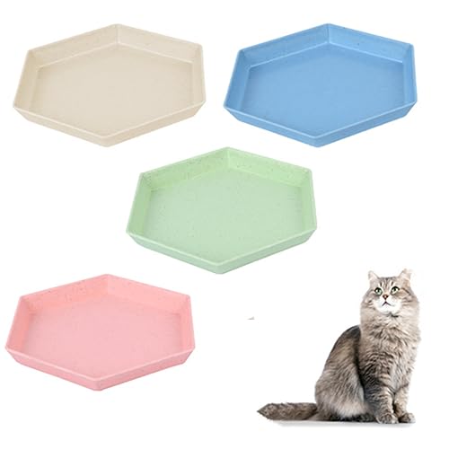 Wanfoou Flacher Katzennapf, 4 Stück Katzennapf, Anti-Schnurrhaar, Müdigkeit, Katzenfutternapf, breit, flach, Katzennapf, kleiner, flacher Haustierteller für Katzen, Kätzchen und Kätzchen Wanfoou Flacher Katzennapf, 4 Stück Katzennapf, Anti-Schnurrhaar, Müdigkeit, Katzenfutternapf, breit, flach, Katzennapf, kleiner, flacher Haustierteller für Katzen, Kätzchen und Kätzchen von Wanfoou