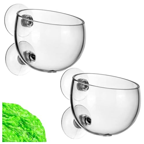 Wanfoou Wasserpflanzen-Becher mit 2 Saugnäpfen, 2 Stück, Wasserpflanzen-Becher mit Loch, Kristallglas, Wasserpflanzen-Becherhalter mit Saugnäpfen für Aquarium-Dekoration von Wanfoou