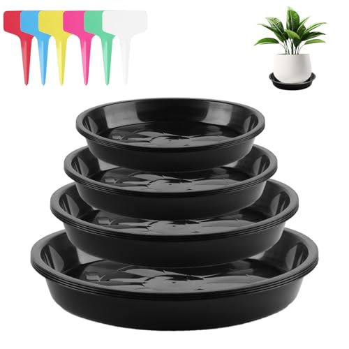 16 STK Untersetzer Blumentopfuntersetzer Pflanzen Untersetzer, Pflanzenuntersetzer Rund, Plastik Blumen Untersetzers, Blumenuntersetzer Rund 12/16/18/22 cm, für Innen Außen, mit 24 Etiketten 16 STK Untersetzer Blumentopfuntersetzer Pflanzen Untersetzer, Pflanzenuntersetzer Rund, Plastik Blumen Untersetzers, Blumenuntersetzer Rund 12/16/18/22 cm, für Innen Außen, mit 24 Etiketten von WangChaoJiu