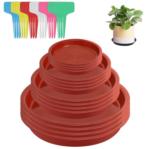 16 Untersetzer Blumentopfuntersetzer Pflanzen Untersetzer, Pflanzenuntersetzer Rund, Plastik Blumen Untersetzer, Blumenuntersetzer Rund 12 cm 14 cm 18 cm 22 cm, für Innen Außen, mit 24 Etiketten 16 Untersetzer Blumentopfuntersetzer Pflanzen Untersetzer, Pflanzenuntersetzer Rund, Plastik Blumen Untersetzer, Blumenuntersetzer Rund 12 cm 14 cm 18 cm 22 cm, für Innen Außen, mit 24 Etiketten von WangChaoJiu