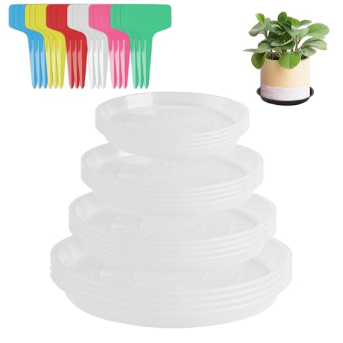 16 Untersetzer Blumentopfuntersetzer pflanzen untersetzer， pflanzenuntersetzer Rund， Plastik Blumen Untersetzer， Blumenuntersetzer Rund 12 cm 16 cm 18 cm 22 cm， für Innen Außen， mit 24 Etiketten von WangChaoJiu