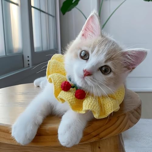 Wangdaqi Niedliches Katzenhalsband mit Schleife, Blumenmuster, ästhetisch, gestrickt, für Innenkatzen, Kätzchen und kleine Hunde, Welpen (M (4,1–9 kg)) von Wangdaqi