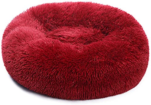 Katzen- und Hundebett, rund, Plüsch, warm, Donut, weich, kuschelig, gemütlich, rutschfeste Unterseite, tiefes Schlafbett für kleine und mittelgroße Tiere, 60 cm, Rot Katzen- und Hundebett, rund, Plüsch, warm, Donut, weich, kuschelig, gemütlich, rutschfeste Unterseite, tiefes Schlafbett für kleine und mittelgroße Tiere, 60 cm, Rot von Wangle