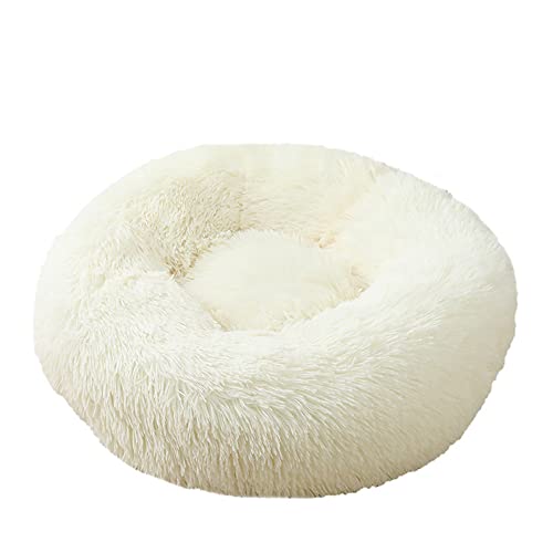 Weiches Hundebett, waschbar, Höhle, Schlafnest, Hausmatte, Kissen, 4 cm, Plüsch, wärmend, verbessertes Schlafen, rutschfeste Unterseite, Haustierbett, 120 cm, gebrochenes Weiß Weiches Hundebett, waschbar, Höhle, Schlafnest, Hausmatte, Kissen, 4 cm, Plüsch, wärmend, verbessertes Schlafen, rutschfeste Unterseite, Haustierbett, 120 cm, gebrochenes Weiß von Wangle