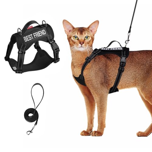 Wanheart Black Cat Taktisches Vorderzeug und Leine, Anti-Ausbruch, verstellbar, weiches Netz, Katzenleine und Brustpanzer, Set für alle Arten von Katzen, Westen, Schwarz, XL, 7,5–10 kg von Wanheart
