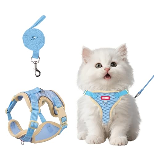 wanheart Katzengeschirr und Leine, ausbruchsicher, verstellbare Katzenleine und -geschirr, geeignet für alle Katzenrassen, Blau, Größe S von Wanheart