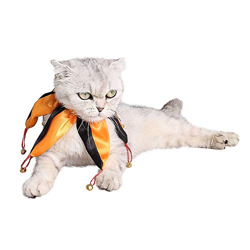 Wankd Hundehalsband,Katze Halsband, Verstellbare Hundehalsband für Kleine Hund, Welpen, Katze, Haustier von Wankd
