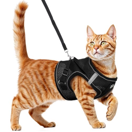 Wanmu Katzengeschirr mit Leine, Ausbruchsicher Softgeschirr Brustgeschirr für Katze, Verstellbar Atmungsaktive Katzenleine für Kätzchen Welpen(Schwarz, XL) von Wanmu
