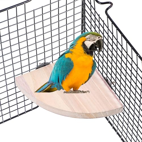 Wanmu Vogel-Sitzstange, Holzsitzstange, Vogelplattform, Papageienständer, Sektor, Spielplatz, Käfigzubehör, Regal für Sittiche, Nymphensittiche, Wellensittiche, Rennmäuse, Ratten Wanmu Vogel-Sitzstange, Holzsitzstange, Vogelplattform, Papageienständer, Sektor, Spielplatz, Käfigzubehör, Regal für Sittiche, Nymphensittiche, Wellensittiche, Rennmäuse, Ratten von Wanmu