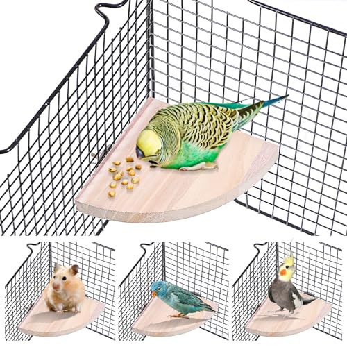 Wanmu Vogelsitzstange Plattform Ständer, Vogelecke Papagei Sitzstange Ecke, Sektor Spielplatz Käfig Zubehör Regal für Kleintiere Ratten Maus Lovebird Finken Conure Wellensittich von Wanmu