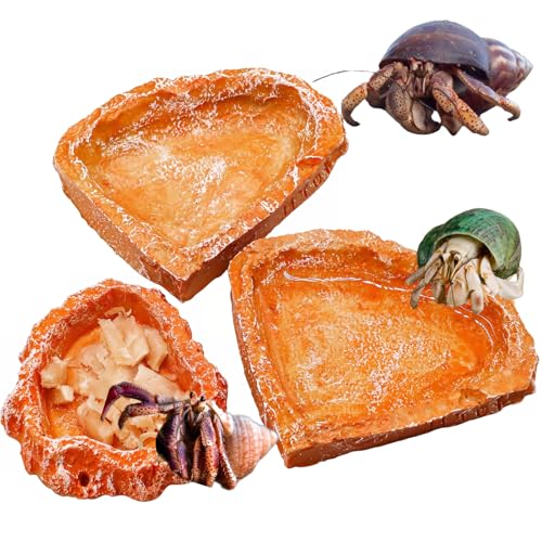 Reptilien-Futterschalen-Set aus Kunstharz, Futter- und Bewässerungsschalen für Einsiedlerkrebse, Schildkröten, Eidechsen, Schnecken, Leopardengeckos, Aquarium- und Tankzubehör, 3 Stück Reptilien-Futterschalen-Set aus Kunstharz, Futter- und Bewässerungsschalen für Einsiedlerkrebse, Schildkröten, Eidechsen, Schnecken, Leopardengeckos, Aquarium- und Tankzubehör, 3 Stück von Wanwanzi