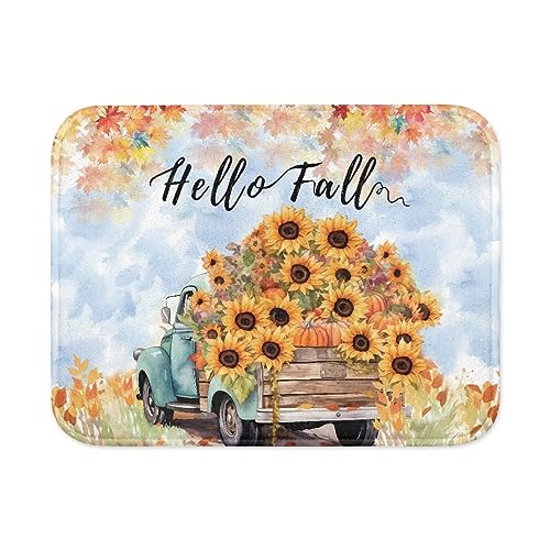 Wanyint Hello Fall Print Hund Katze Haustier Fütterungsmatte für Männer Frauen Rutschfeste Waschbar Hund Platzsets Selbstabsorbierende Lässige Hund Katze Futtermatte von Wanyint