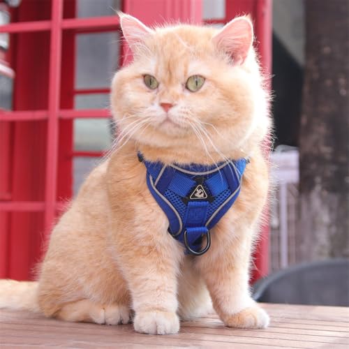 Wanym Katzengeschirr Mit Leine Ausbruchsicher, Softgeschirr für Katze mit Reflektierenden Streifen, Verstellbar Katzenweste Atmungsaktive für Kleine Katzen Kaninchen und Hunde,Blau,L Wanym Katzengeschirr Mit Leine Ausbruchsicher, Softgeschirr für Katze mit Reflektierenden Streifen, Verstellbar Katzenweste Atmungsaktive für Kleine Katzen Kaninchen und Hunde,Blau,L von Wanym