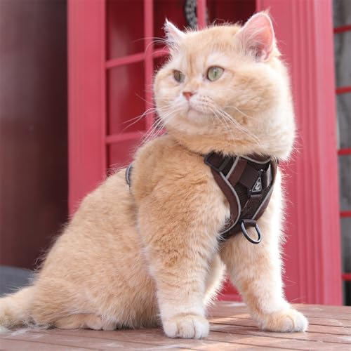 Wanym Katzengeschirr Mit Leine Ausbruchsicher, Softgeschirr für Katze mit Reflektierenden Streifen, Verstellbar Katzenweste Atmungsaktive für Kleine Katzen Kaninchen und Hunde,Braun,S Wanym Katzengeschirr Mit Leine Ausbruchsicher, Softgeschirr für Katze mit Reflektierenden Streifen, Verstellbar Katzenweste Atmungsaktive für Kleine Katzen Kaninchen und Hunde,Braun,S von Wanym