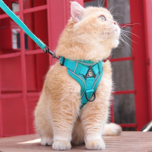 Wanym Katzengeschirr Mit Leine Ausbruchsicher, Softgeschirr für Katze mit Reflektierenden Streifen, Verstellbar Katzenweste Atmungsaktive für Kleine Katzen Kaninchen und Hunde,Grün,L Wanym Katzengeschirr Mit Leine Ausbruchsicher, Softgeschirr für Katze mit Reflektierenden Streifen, Verstellbar Katzenweste Atmungsaktive für Kleine Katzen Kaninchen und Hunde,Grün,L von Wanym