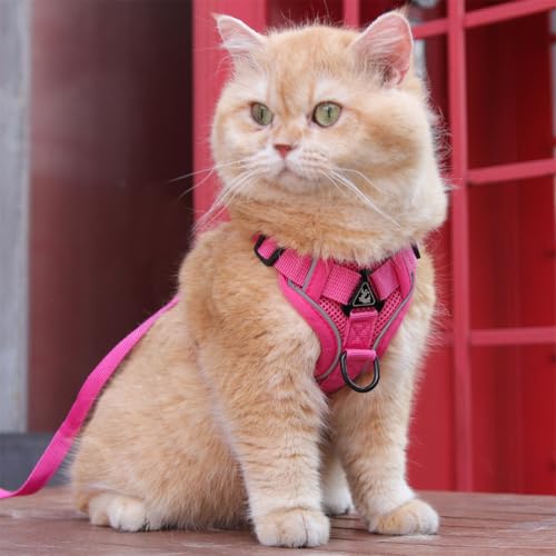 Wanym Katzengeschirr Mit Leine Ausbruchsicher, Softgeschirr für Katze mit Reflektierenden Streifen, Verstellbar Katzenweste Atmungsaktive für Kleine Katzen Kaninchen und Hunde,Rosa,L Wanym Katzengeschirr Mit Leine Ausbruchsicher, Softgeschirr für Katze mit Reflektierenden Streifen, Verstellbar Katzenweste Atmungsaktive für Kleine Katzen Kaninchen und Hunde,Rosa,L von Wanym
