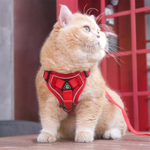Wanym Katzengeschirr Mit Leine Ausbruchsicher, Softgeschirr für Katze mit Reflektierenden Streifen, Verstellbar Katzenweste Atmungsaktive für Kleine Katzen Kaninchen und Hunde,Rot,L Wanym Katzengeschirr Mit Leine Ausbruchsicher, Softgeschirr für Katze mit Reflektierenden Streifen, Verstellbar Katzenweste Atmungsaktive für Kleine Katzen Kaninchen und Hunde,Rot,L von Wanym