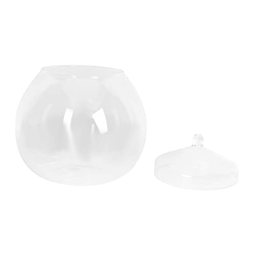Warmhm 1 Satz Micro Landscape Terrarium Flasche mit Deckel DIY Glasbehälter für Pflanzen Wohnaccessoire zur Dekoration von Tisch und Büro Zufälliger Deckelstil von Warmhm