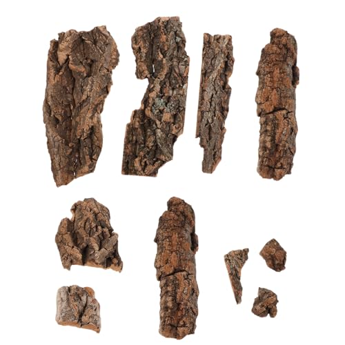 Warmhm 1 Satz Natürliche Terrarium Dekoration für Bartagamen Schlangen Schildkröten und Einsiedlerkrebse Zufällige für Aquarien und Terrarium Hintergrund Warmhm 1 Satz Natürliche Terrarium Dekoration für Bartagamen Schlangen Schildkröten und Einsiedlerkrebse Zufällige für Aquarien und Terrarium Hintergrund von Warmhm