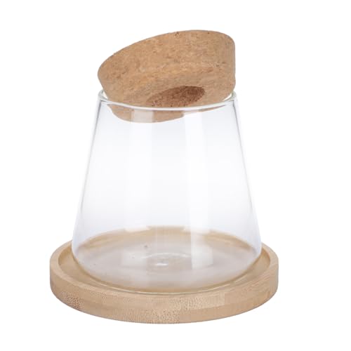 Warmhm 1 Satz Öko-Flasche Aus Glas Pflanzen Terrarien Saftig Wasser Im Freien Groß Bausatz Anlage Selbst Vase Stand Einmachgläser Desktop-pflanzgefäß Hölzern Brown von Warmhm