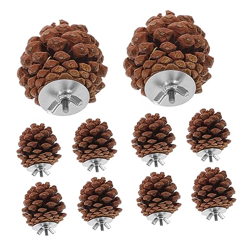 Warmhm 10stücke Kauspielzeug Für Vögel Natürliches Zerkleinerungsspielzeug Für Papageienkäfige Hängendes Futtersuchspielzeug Für Sittiche Holz Kegel Spielzeug Für von Warmhm