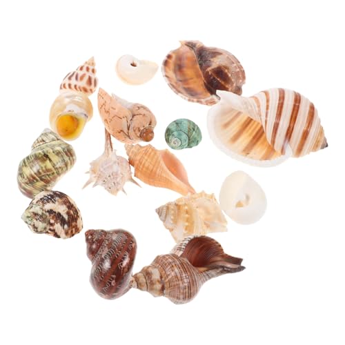 Warmhm 15 Stück Teiliges Bunter Muscheln für Aquarien und Fischbecken Natürliche Dekoration für DIY Projekte Vasenfüller und Themenarrangements Warmhm 15 Stück Teiliges Bunter Muscheln für Aquarien und Fischbecken Natürliche Dekoration für DIY Projekte Vasenfüller und Themenarrangements von Warmhm