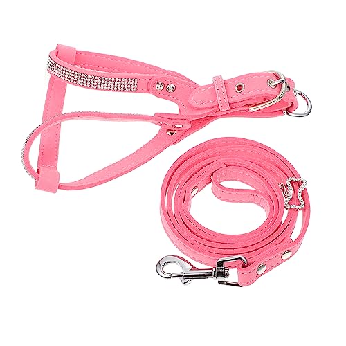 Warmhm 1Satz Hundegeschirr Mit Leine Für Haustiere Verstellbar Und Atmungsaktiv Für Hundetraining Und Outdoor Aktivitäten Bungee Funktion Teiliges Set von Warmhm