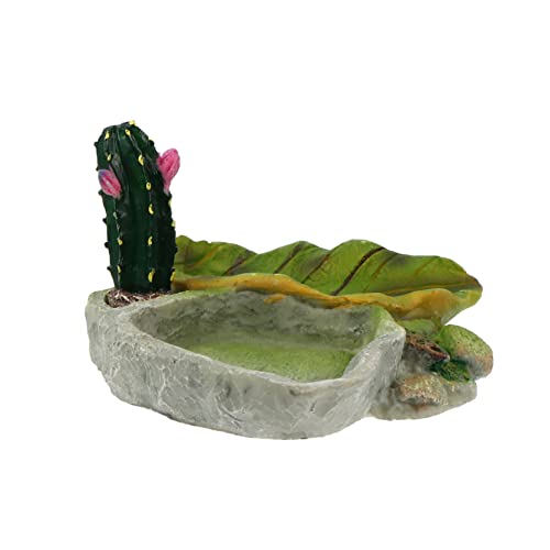 Warmhm 1Stück Reptilien Futter Und Wasserbecken Für Schildkröten Und Eidechsen Exquisites Design Für Terrarien Und Vivarium Pflegeleicht von Warmhm