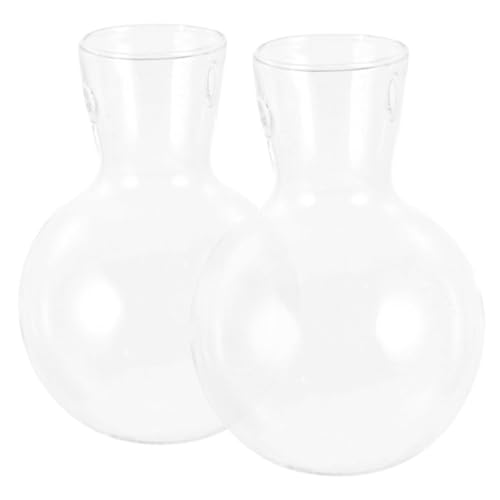 Warmhm 2Stücke Dekorative Glasvasen Für Pflanzen Terrarien Mit Holzständer Hochborosilikatglas Für Tischdeko Und Blumenschmuck Transparent Und Modern von Warmhm