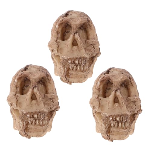 Warmhm 3 Stück Teiliges Miniatur Reptilien Terrarium Zubehör Detailgetreue Resin Schädel Deko für Echsen und Schlangen Platzsparendes Design für Kleine und Große Terrarien Fördert Warmhm 3 Stück Teiliges Miniatur Reptilien Terrarium Zubehör Detailgetreue Resin Schädel Deko für Echsen und Schlangen Platzsparendes Design für Kleine und Große Terrarien Fördert von Warmhm