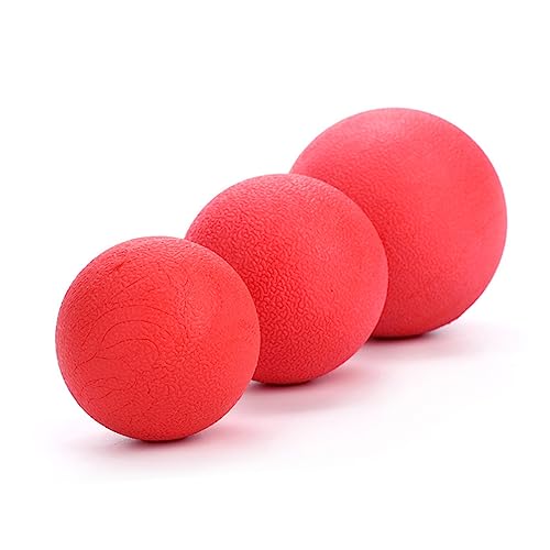 Warmhm 3 Stücke Hundebälle Super Elastische Spielzeuge für Hunde und Welpen für Interaktive Spiele Bouncy Balls und Fördert und Schützt Möbel Warmhm 3 Stücke Hundebälle Super Elastische Spielzeuge für Hunde und Welpen für Interaktive Spiele Bouncy Balls und Fördert und Schützt Möbel von Warmhm